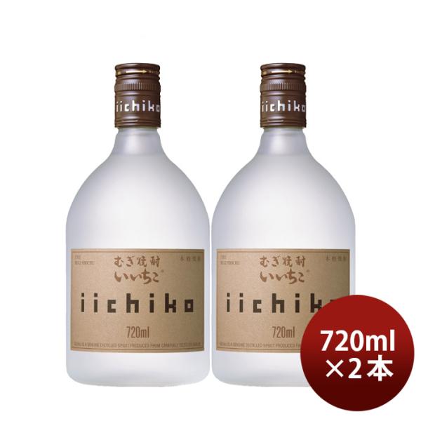麦焼酎 いいちこ シルエット 25度 720ml 2本 焼酎 三和酒類 お酒