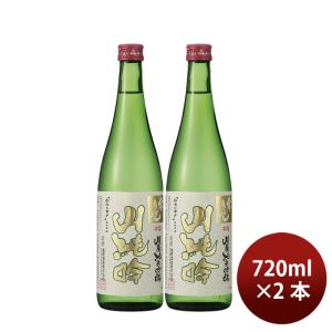 日本酒 常きげん 山廃純米吟醸 720ml 2本 鹿野酒造 ギフト