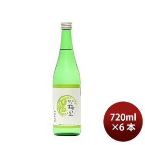 日本酒 越乃梅里 特別純米酒 720ml 6本 DHC酒造 ギフト