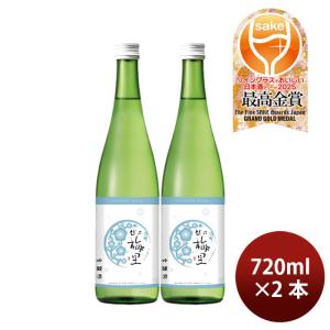 日本酒 越乃梅里 吟醸 720ml 2本 DHC酒造 ギフト 父親 誕生日 WGO お酒 新生活 入学祝い 卒業祝い 就職祝い 進学祝い