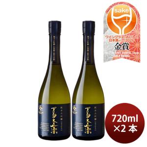 日本酒 アルプス正宗 純米大吟醸 山恵錦 カートン入り 720ml 2本 亀田屋酒造店 ギフト WGO 既発売