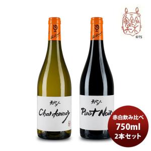 ワイン フライングシープ 6種6本飲み比べセット 750ml 大沢ワインズ