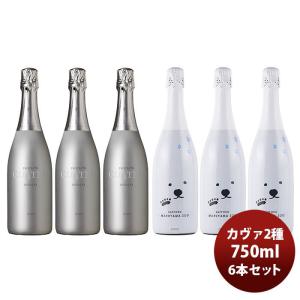 ワインセット 飲み比べ 激安！！シャンパーニュ入り スパークリング