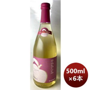 大和葡萄酒 アップルスパークリング 500ml 6本 のし・ギフト・サンプル各種対応不可｜isshusouden