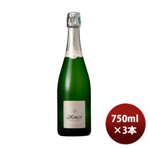 シャンパン マイィ エクストラ ブリュット 750ml 3本 グランクリュ シャンパーニュ ギフト のし・ギフト・サンプル各種対応不可｜isshusouden