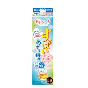 すっぱい あっさり梅酒 2L 2000ml 合同酒精 梅酒 パック｜isshusouden