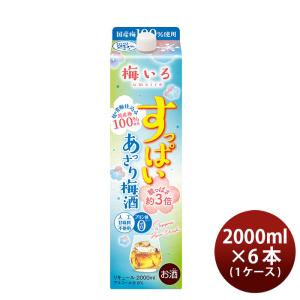 すっぱい あっさり梅酒 2L 2000ml 6本 1ケース 合同酒精 梅酒 パック｜isshusouden