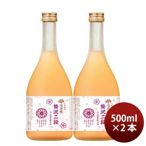 合同酒精 贅沢梅酒 500ml 2本｜isshusouden