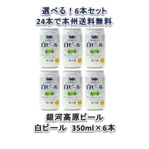 お中元 御中元 ギフト 3/6以降のお届け クラフトビール ...
