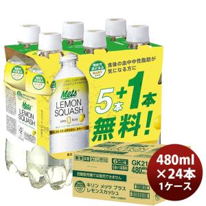 キリン メッツ プラス レモンスカッシュ 炭酸飲料 ペットボトル 24本 480ml 1ケース