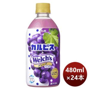 カルピスとウェルチグレープ PET 480ml × 1ケース / 24本 リニューアル 3月29日以降切替 新旧のご指定不可