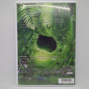 【未使用品】となりのトトロ[特典DVD(本編視...の詳細画像2