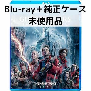 未使用品 ゴーストバスターズ／フローズン・サマー [DVDのみ] : issue 
