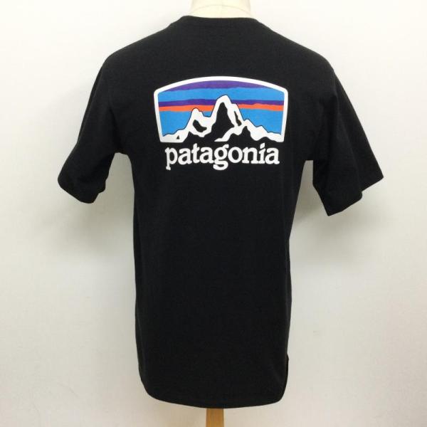 patagonia パタゴニア 半袖 Tシャツ T Shirt  28501SP20 FITZ RO...