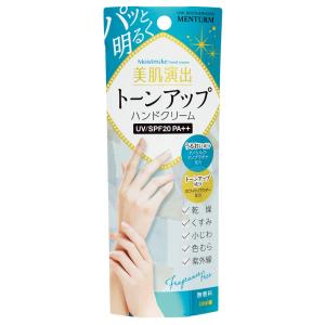 近江兄弟社 メンターム モイストメイク ハンドクリーム 無香料 60ｇ 60グラム (x 1)