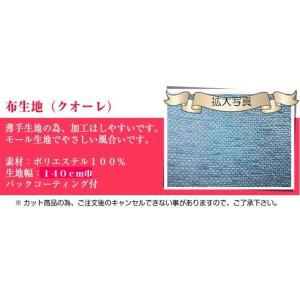 クオーレ 布地 椅子生地/カラフル/薄手/テキ...の詳細画像3