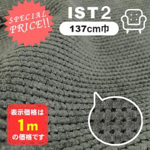 最終処分！ＩＳＴ2　生地　布　椅子生地 　学校行事・手芸などに　アウトレット商品　大特価 J9074
