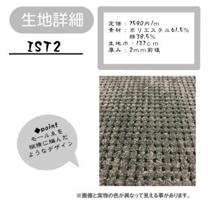 最終処分!IST2 生地 布 椅子生地 学校行...の詳細画像2