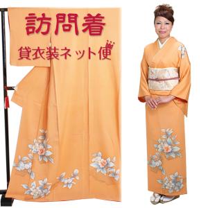 訪問着 レンタル 正絹 50代 卒業式 必要なもの一式 結婚式 赤茶色 NT