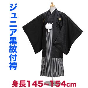袴 小学校卒業式 ジュニア 黒紋付袴レンタル 縞袴【大】卒業式 男