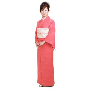 七五三・入学卒業式・お宮参りに｜上品な紋付色無地　シルック　未使用近い　美品 楽天市場】七五三 着物（種類（着物）色無地）（レディース