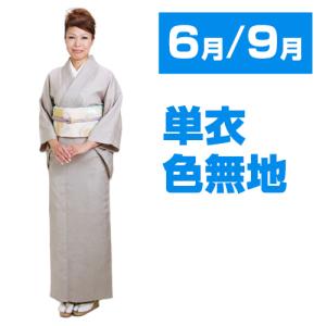 色無地 絽 レンタル 7月〜8月・夏用 夏物 紫色 絽の着物
