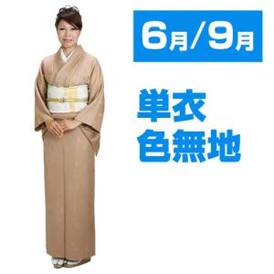色無地 レンタル 袷 10月〜5月向け 一ツ紋 ブルーグレー色 着物 入学式