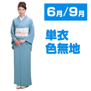 【夏着物】色無地＊紋紗 霞に波 紺 背紋有 正絹 お茶会やお稽古着に＊7KA31 中古品 夏着物 夏紬 紺色 紗 正絹 裄65.5 R745 - メルカリ