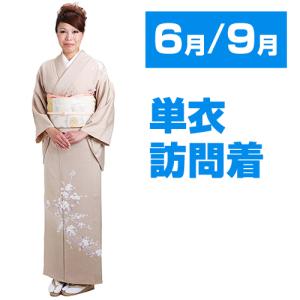 2132 夏用 単衣 訪問着 夏用単衣訪問着 うぐいす桔梗 身長 156cm〜166cm位 訪問着 レンタル 単