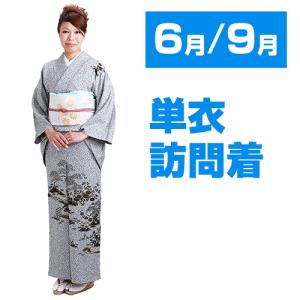 訪問着 単衣 レンタル 6月 9月向け着物 ブルーグレー色 NT-303 9月 夏