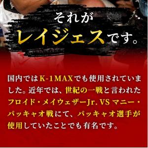 レイジェス(reyes) ヘッドギア ナイロン...の詳細画像5