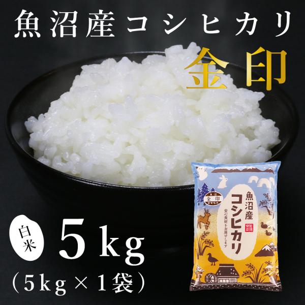 魚沼産コシヒカリ「金印」高食味米 5kg（令和7年産）