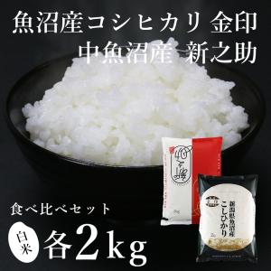 令和3年度産こしいぶき　新米　玄米30kg、白米27kg　30kg袋　 こしいぶき 【玄米】新潟県産こしいぶき 30kg（令和7年産） : 魚沼のお
