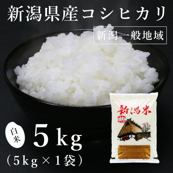 新潟県産一般地域 コシヒカリ 5kg（令和6年産）