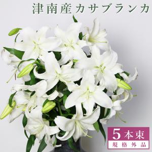 カサブランカ 規格外品 10本束セット : 魚沼のお米屋 イタバ - 通販