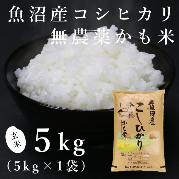 【玄米】魚沼産コシヒカリ「無農薬かも米」5kg（令和5年産）