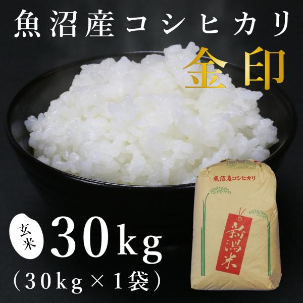 【玄米】魚沼産コシヒカリ「金印」高食味米 30kg（令和7年産）