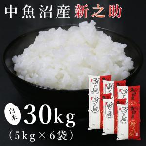 魚沼産コシヒカリ30kg コシヒカリ 【玄米】魚沼産コシヒカリ「金印」高食味米 30kg（令和7