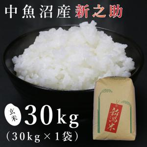 新之助 玄米の商品一覧｜米、ごはん｜米、雑穀、粉類｜食品 通販 
