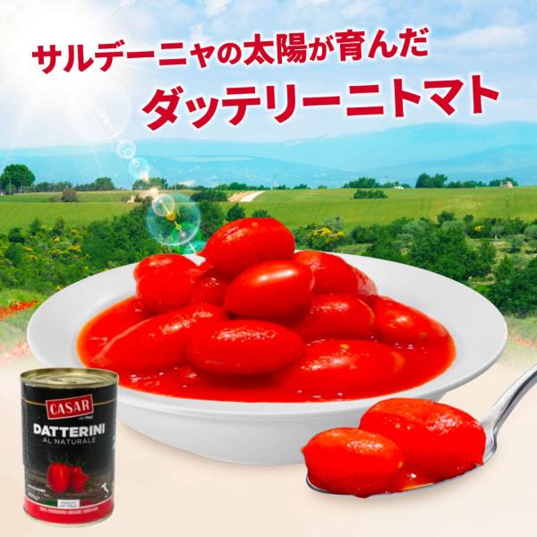 缶詰 ミニトマトホール缶 ダッテリーニ カサール イタリア産 400g CASAR グルメ サルデー...