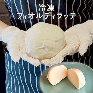 冷凍 フィオルディラッテ モッツァレラチーズ 約500g イタリア産 フレッシュチーズ ピザ カプレーゼ 爆買