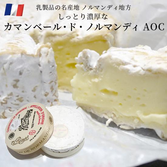 チーズ カマンベール ド ノルマンディ 白カビチーズ AOP フランス産 250g おつまみ
