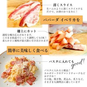 生ハム パパーダ イベリカ スペイン産 500...の詳細画像3