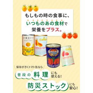缶詰 ダッテリーニ トマト缶 400g イン ...の詳細画像5