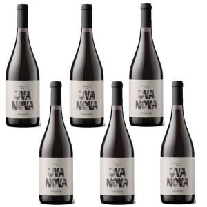 ノヴェッロ　ウーヴァ・ノヴァ・ビオ [2026] ×6本セット − VIGNA MADRE -Famiglia di Carlo- UVA NOVA BIO