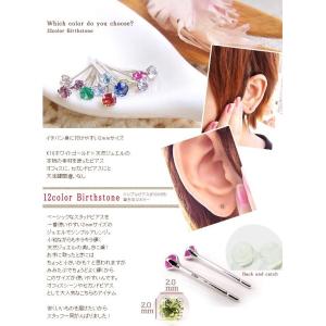 プレゼント 誕生石 ピアス 一粒 10金 スタ...の詳細画像1