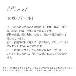 プレゼント ネクタイピン カフス メンズジュエ...の詳細画像1