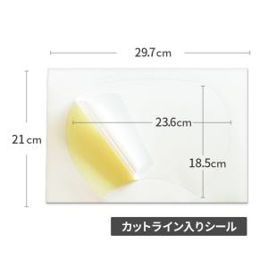 手作りうちわキットスタンダードサイズ(白骨)1...の詳細画像1