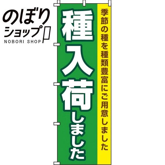 のぼり旗 種入荷しました 0240077IN