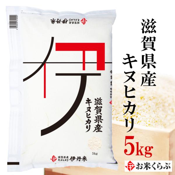 精米 5kg 送料無料 白米 令和5年産 滋賀県産キヌヒカリ 5kg 伊丹米 ギフト 内祝い 熨斗承...